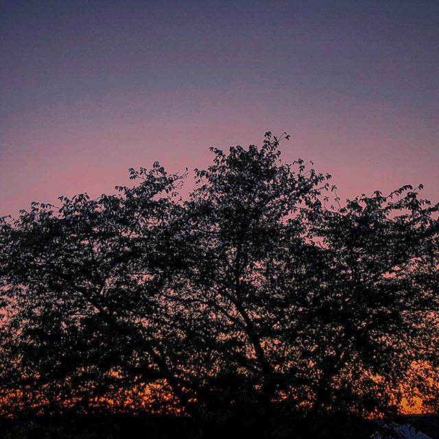 Red Sky at night, my delight.